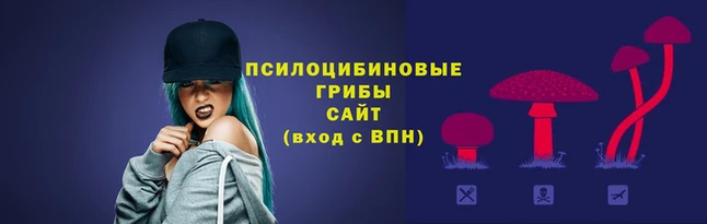 apvp Алексин