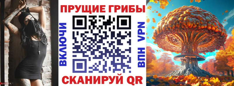 Псилоцибиновые грибы Psilocybe  где можно купить наркотик  Кемерово 