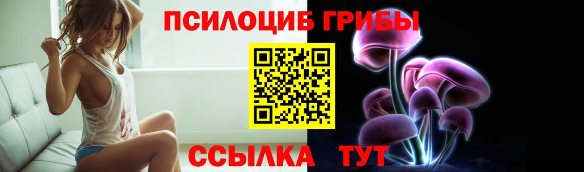Кемерово  Галлюциногенные грибы Magic Shrooms  Псилоцибиновые грибы MAGIC MUSHROOMS  Вход с VPN 